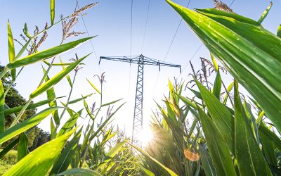 Bioenergy in South Africa’s Long-Term Power System Planning