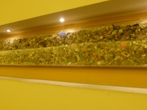 Malagrotta RDF  