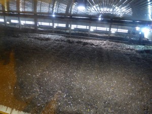 Malagrotta compost 2