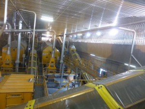 Malagrotta sorting 2  