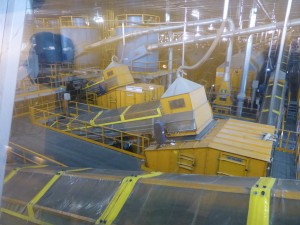 Malagrotta sorting 3  