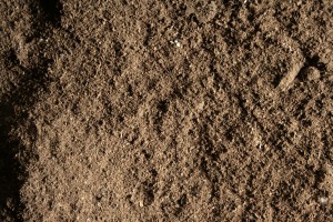 digestate 2 w original 