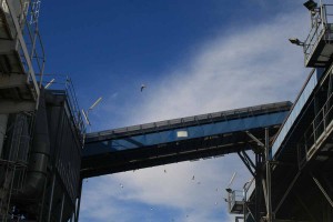 ecoprogetto feed to incinerator original    