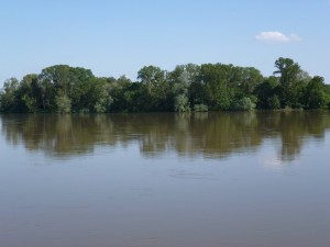loire 2 w original 