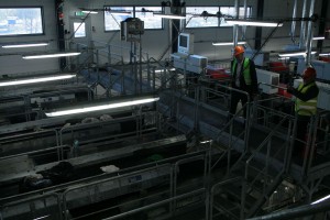 optical sorting 5 original 
