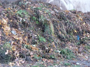ruhleben - green waste input w original 