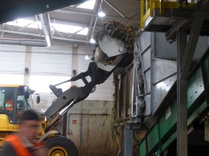 ruhleben front loading w original 