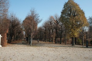 schonbrunn grounds w original  