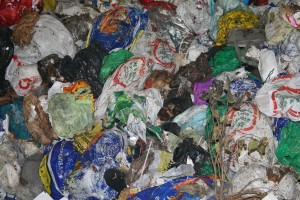 waste at optical soring plant 2 original 